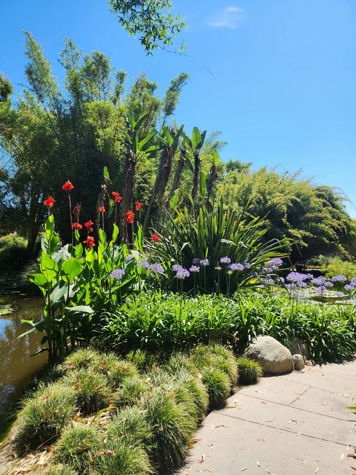 Grüner Garten beim sonnigem Wetter
