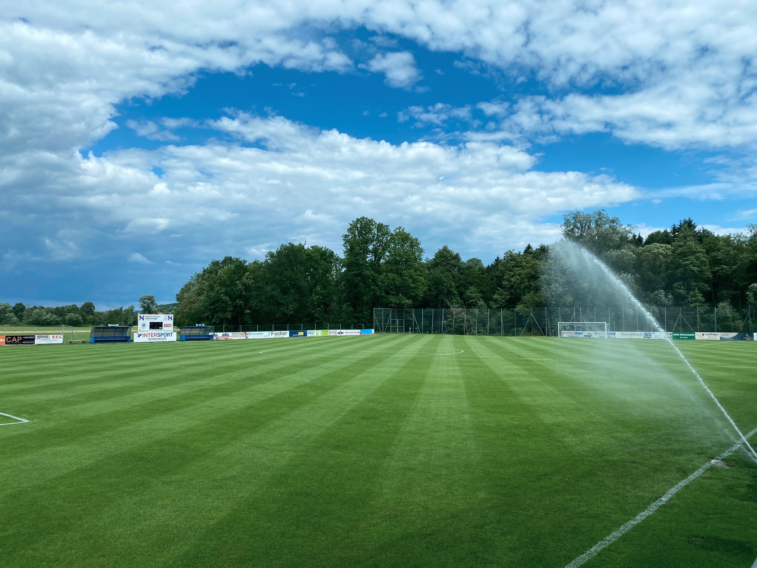 Ein grüner Sportplatz